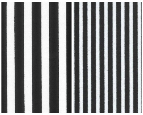 100 cotton poplin black - poplin, black/white